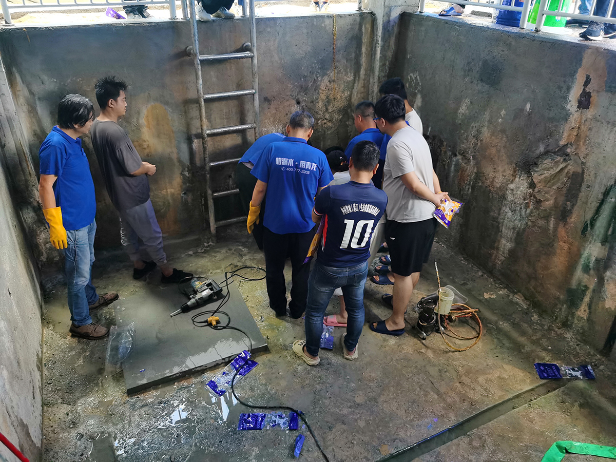 IMG_20230424_164414.jpg IMG_20230424_164414.jpg