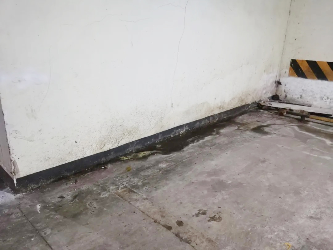 防水層泛白？別急著鏟！90%的人都不知道的真正原因在這里！